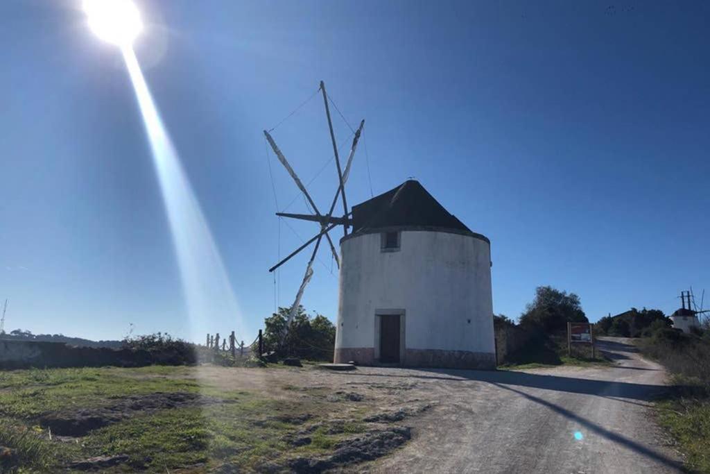 Vila Pateo Da Memoria Casa Do Pintor Quinta do Anjo Exteriér fotografie
