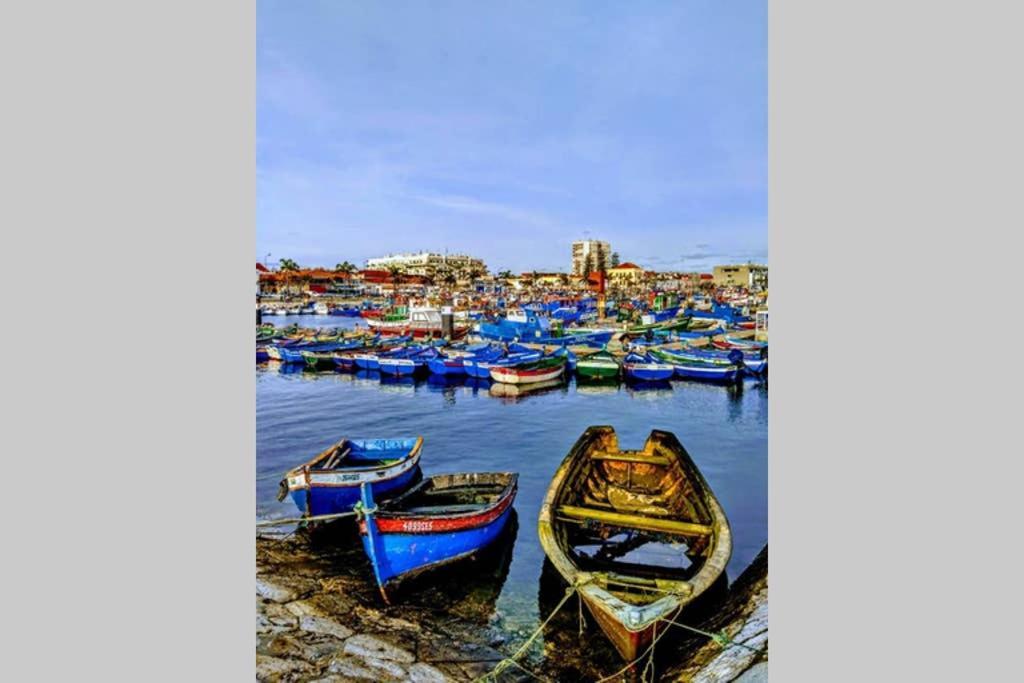 Vila Pateo Da Memoria Casa Do Pintor Quinta do Anjo Exteriér fotografie